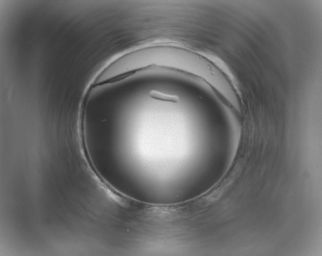 X0000070190910200606091529