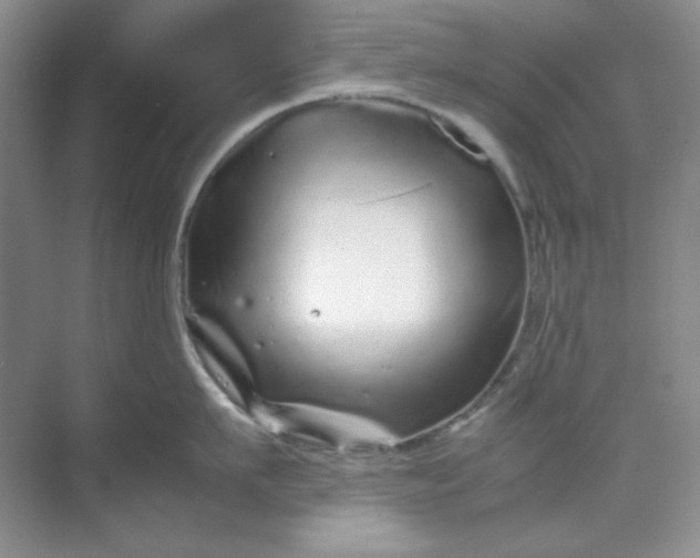 X0000070190911200606091529