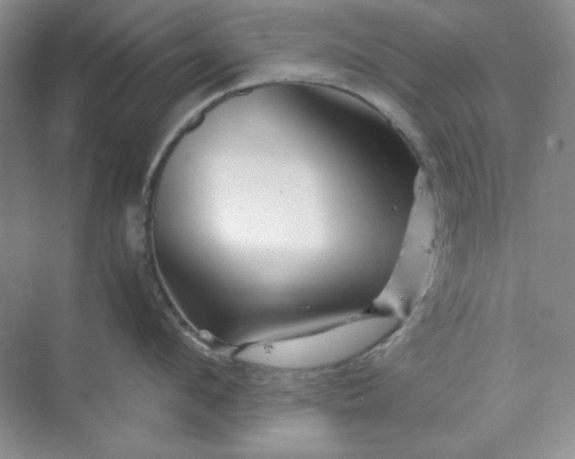 X0000070190912200606091529