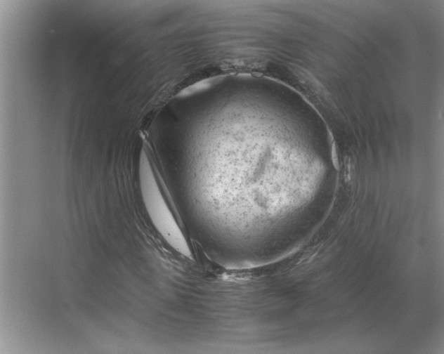 X0000070190915200606091528