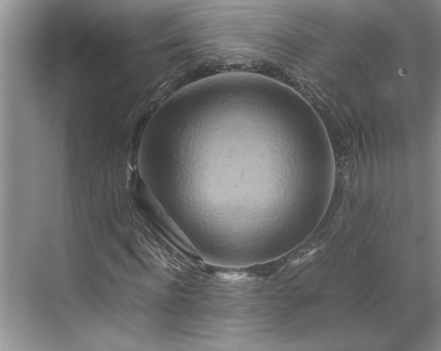 X0000070190916200606091528