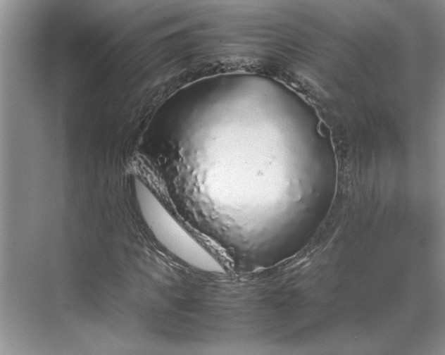 X0000070190917200606091528