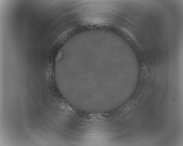 X0000070190918200606091528