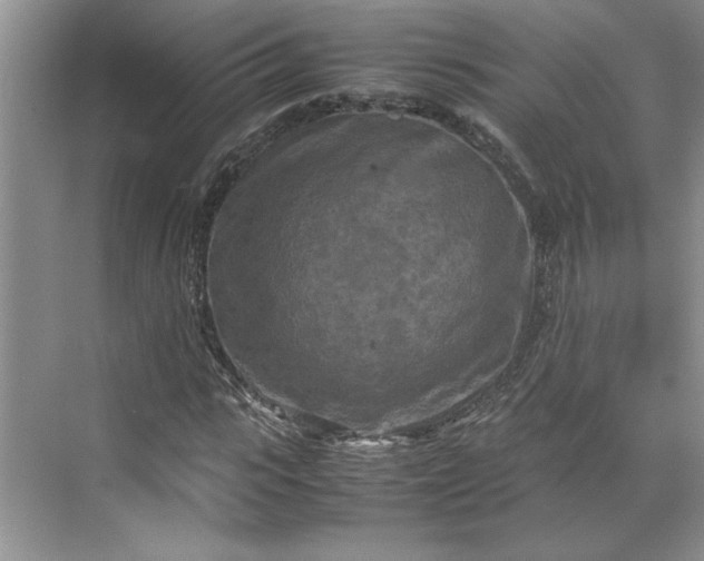 X0000070190919200606091528