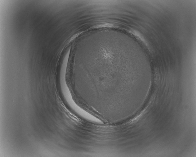 X0000070190921200606091528