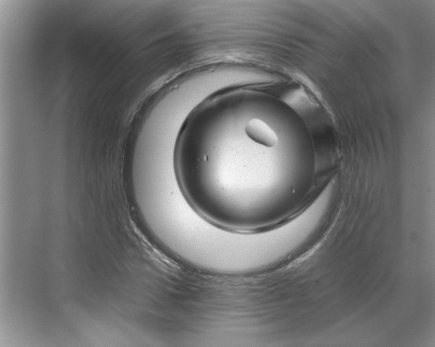 X0000070190922200606091528