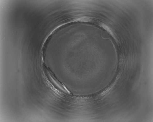 X0000070190923200606091528