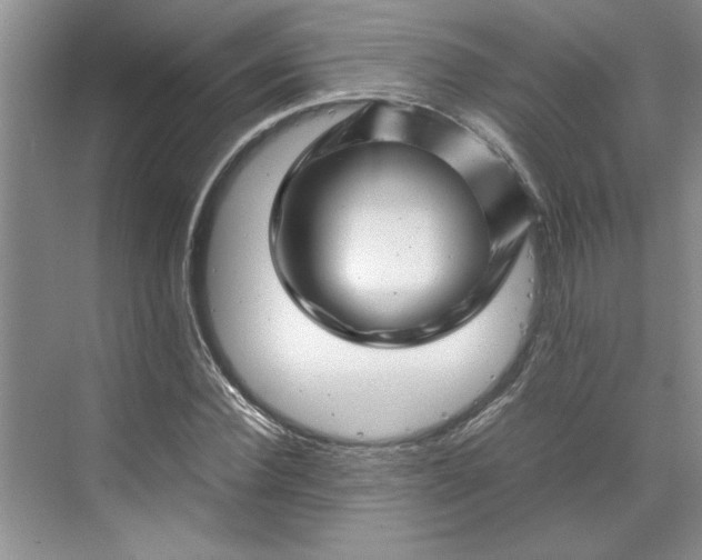 X0000070190924200606091528