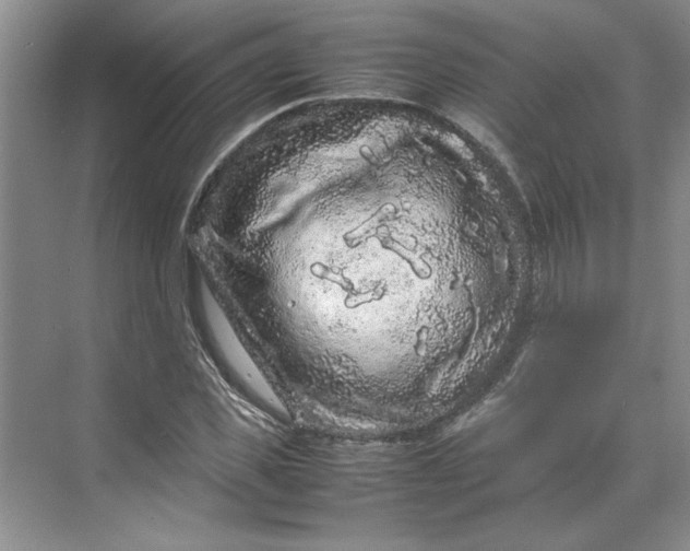 X0000070190925200606091529