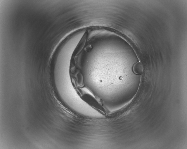 X0000070190926200606091529