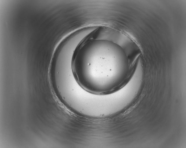 X0000070190928200606091529