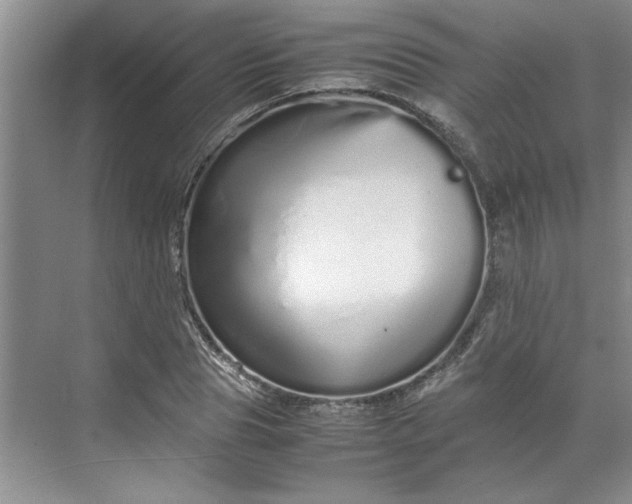 X0000070190929200606091529