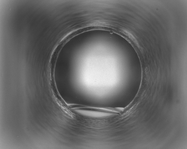 X0000070190931200606091529