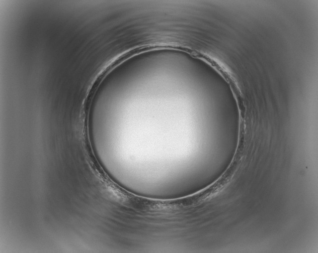 X0000070190933200606091529