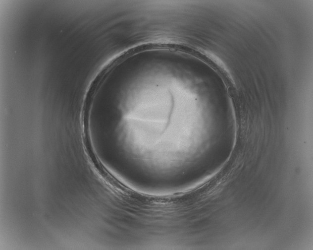 X0000070190935200606091529