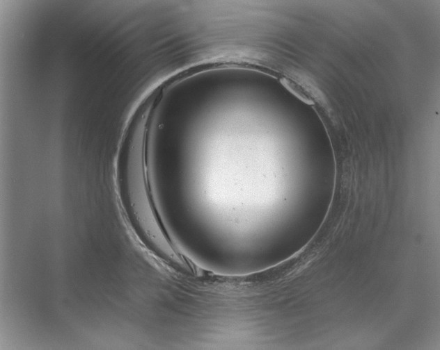 X0000070190936200606091529