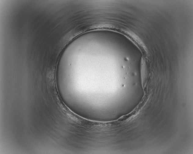 X0000070190937200606091529