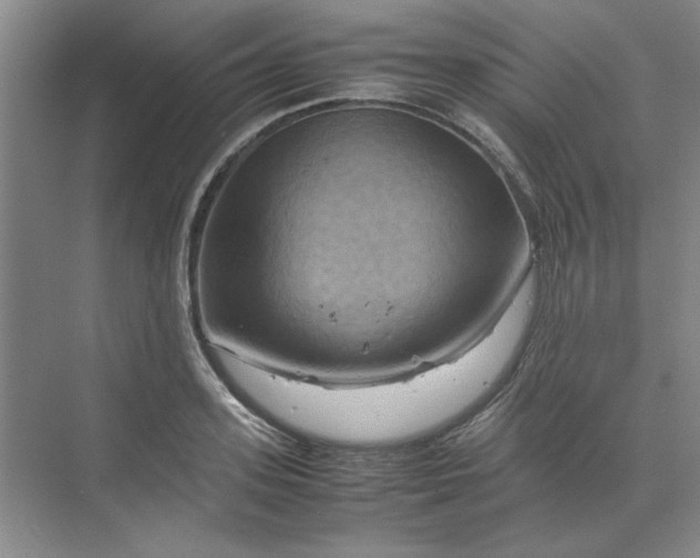 X0000070190939200606091529