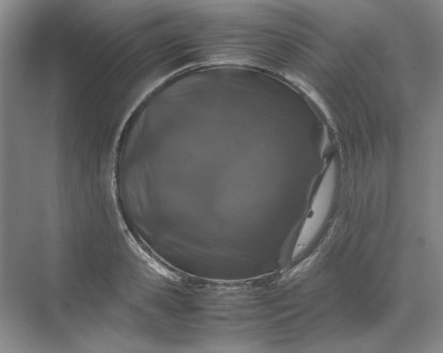 X0000070190941200606091529