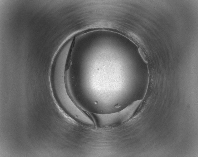 X0000070190942200606091529