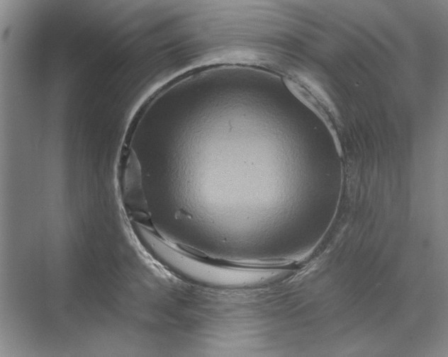 X0000070190944200606091529