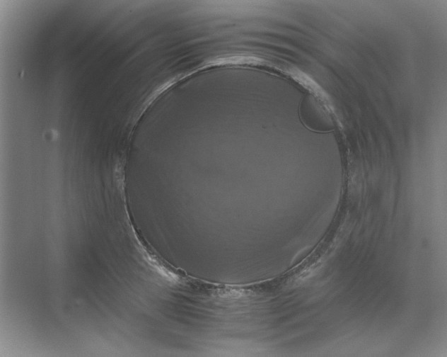 X0000070190945200606091529