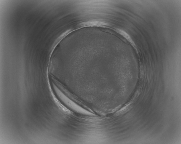 X0000070190946200606091529