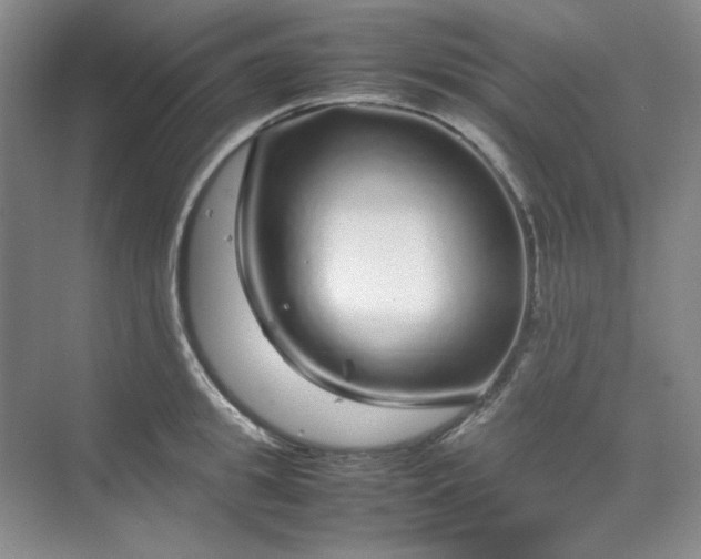 X0000070190949200606091529