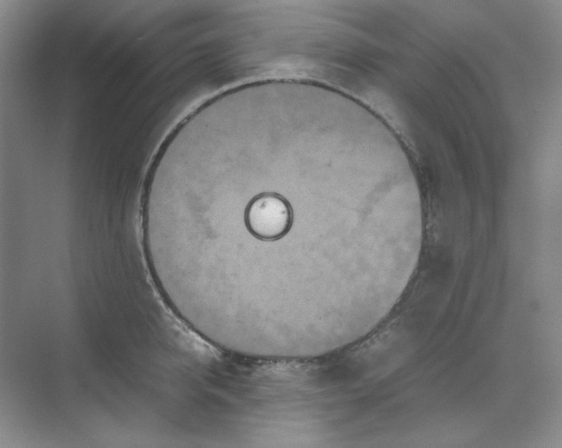 X0000070190950200606091529