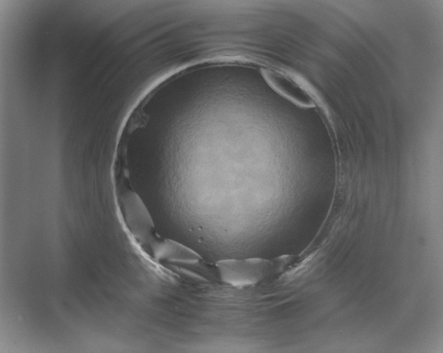 X0000070190951200606091529