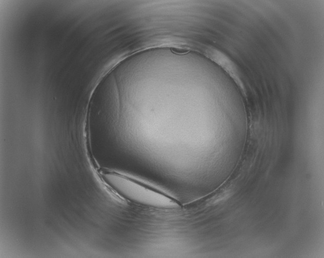 X0000070190954200606091529