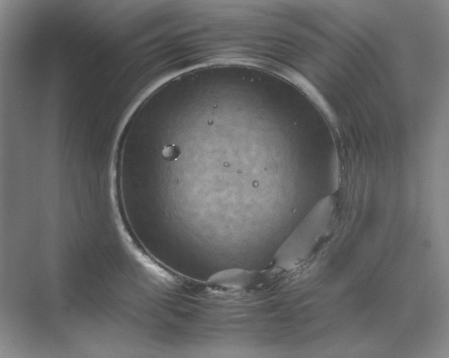 X0000070190955200606091529