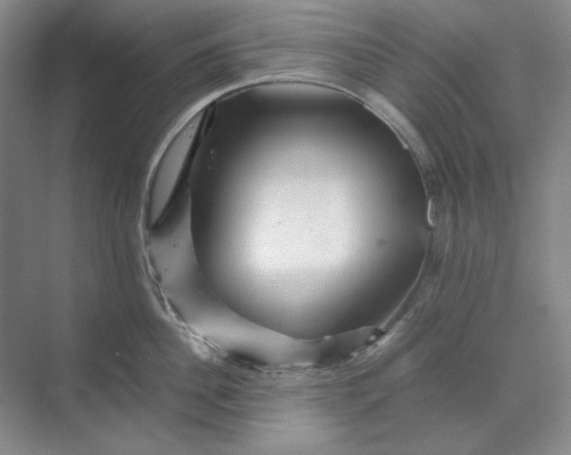 X0000070190956200606091529