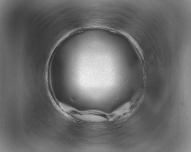 X0000070190957200606091529