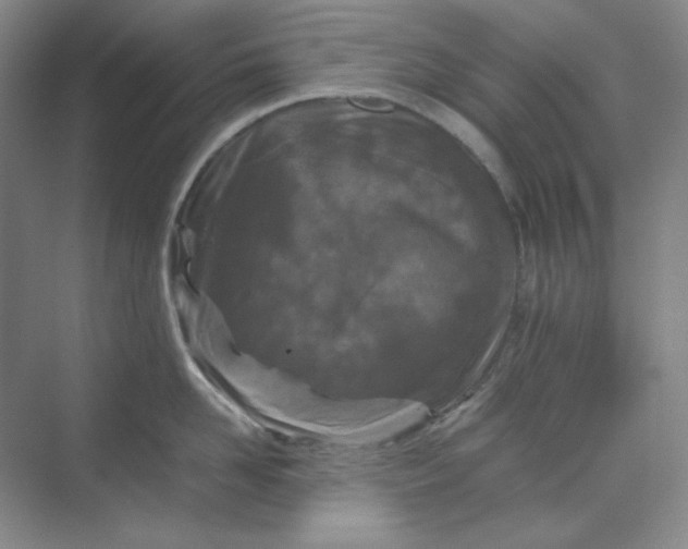 X0000070190958200606091529