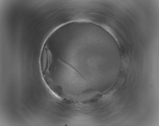 X0000070190959200606091529