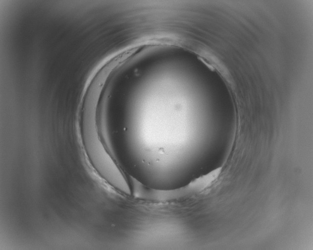 X0000070190960200606091529