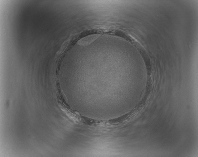 X0000070190961200606091528