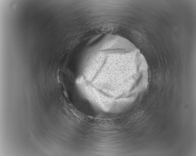 X0000070190962200606091528