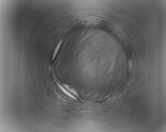 X0000070190963200606091528