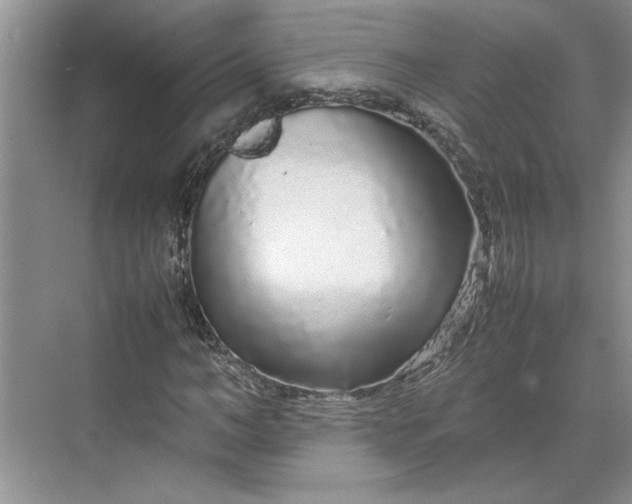 X0000070190966200606091528