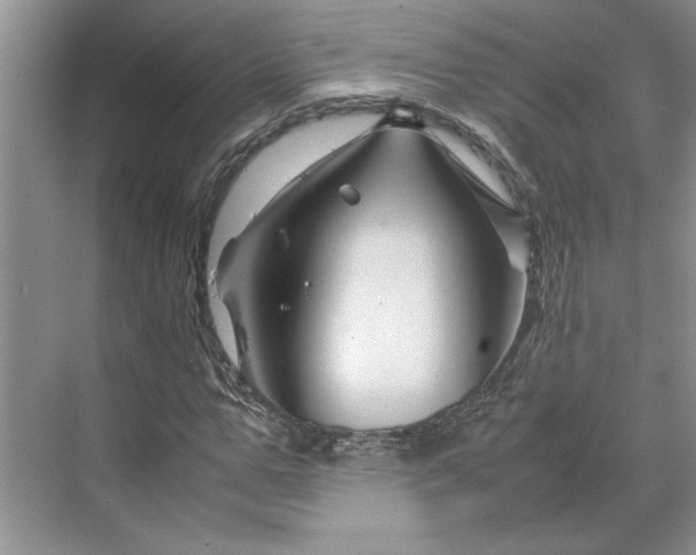 X0000070190967200606091528