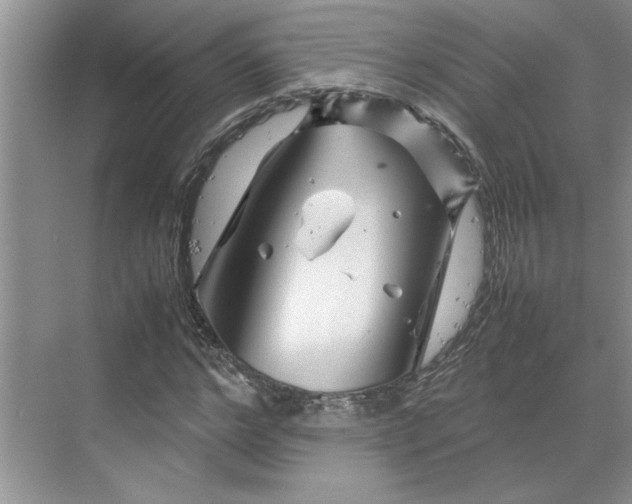 X0000070190968200606091528