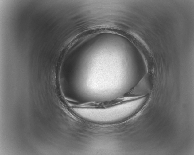 X0000070190969200606091528