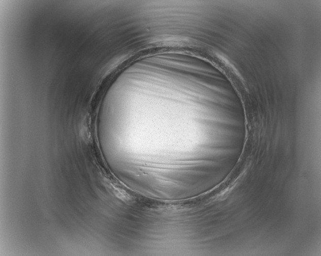 X0000070190970200606091528