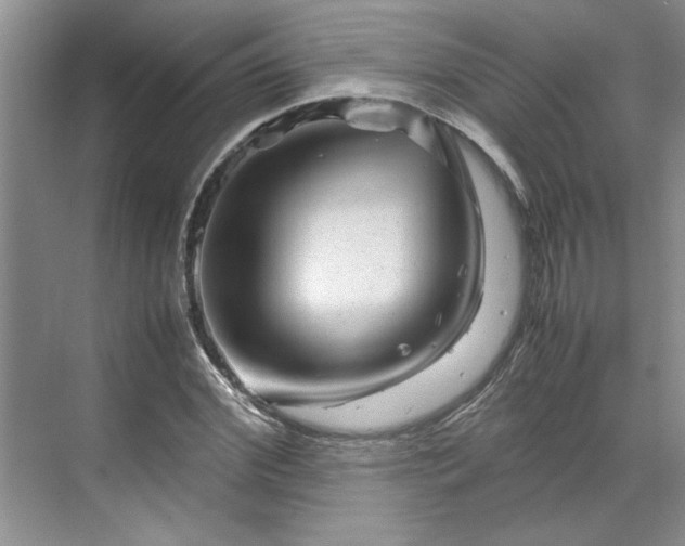 X0000070190972200606091528