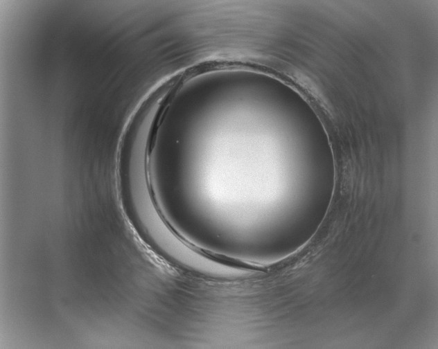 X0000070190976200606091528