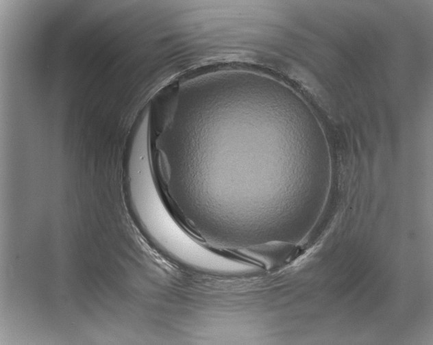 X0000070190977200606091528