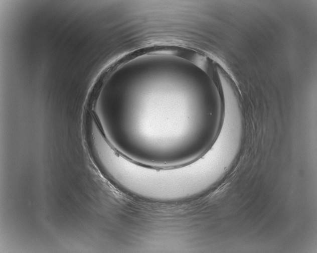 X0000070190979200606091528