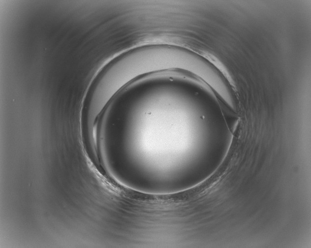 X0000070190980200606091528